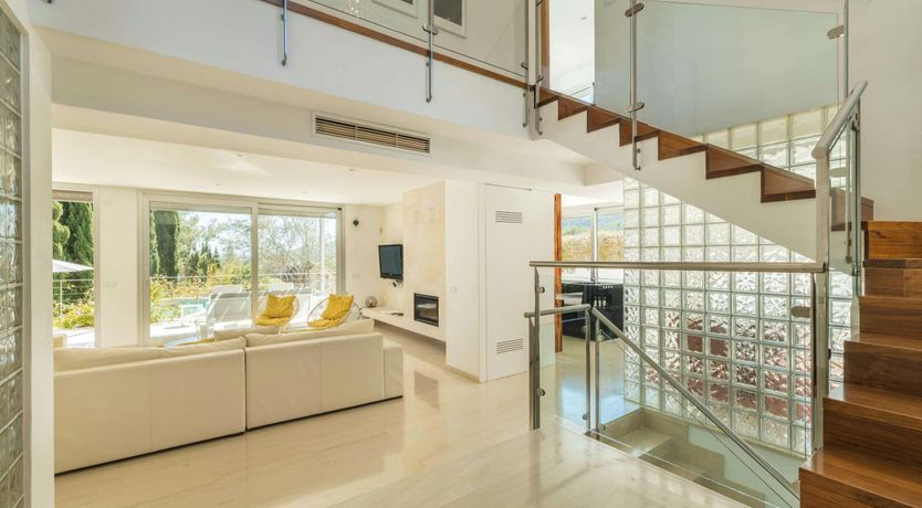 Photo of Golden Star Ash