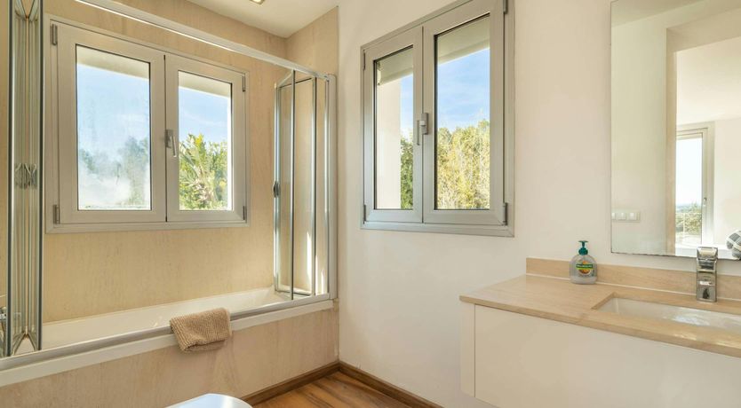 Photo of Golden Star Ash