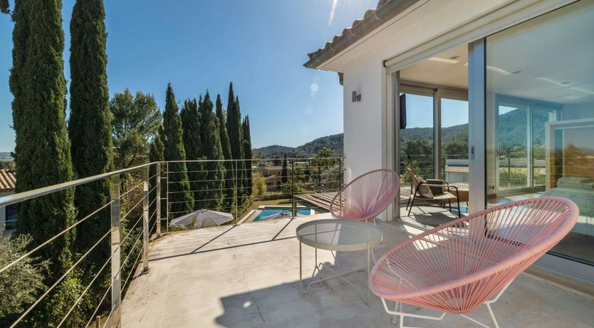 Photo of Golden Star Ash