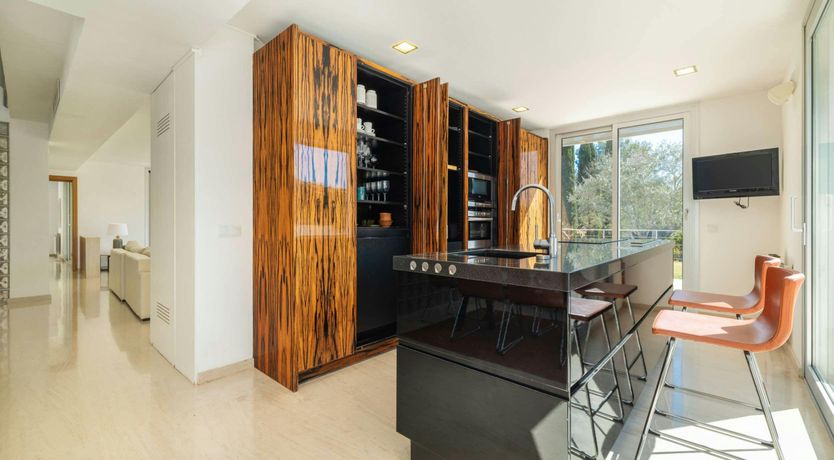 Photo of Golden Star Ash