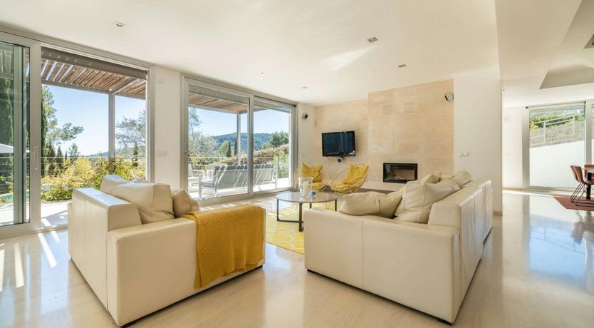 Photo of Golden Star Ash