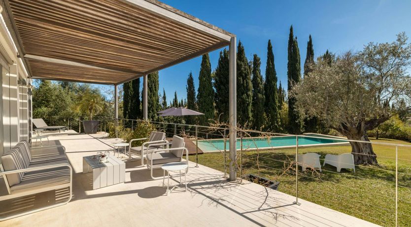 Photo of Golden Star Ash