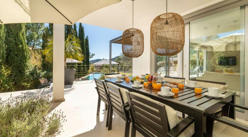 Photo of Golden Star Ash