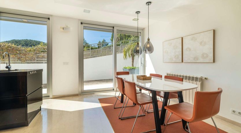 Photo of Golden Star Ash