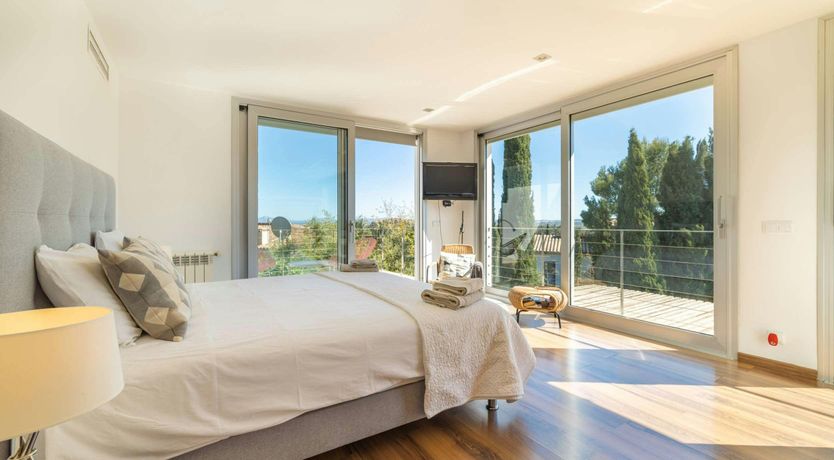 Photo of Golden Star Ash