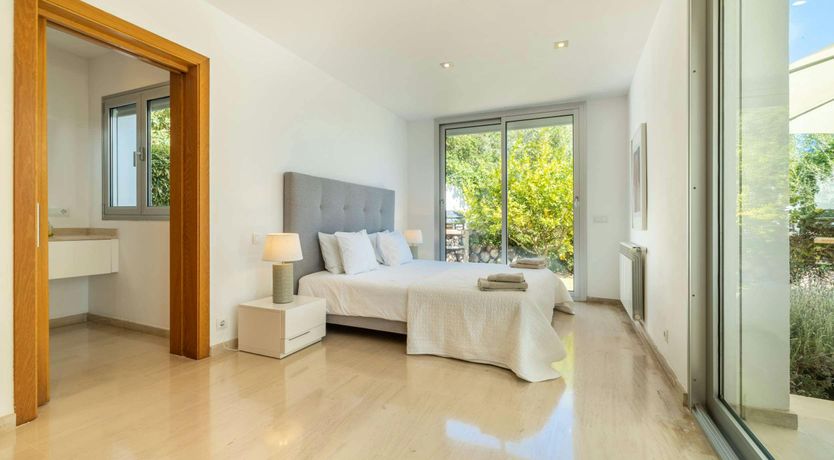 Photo of Golden Star Ash