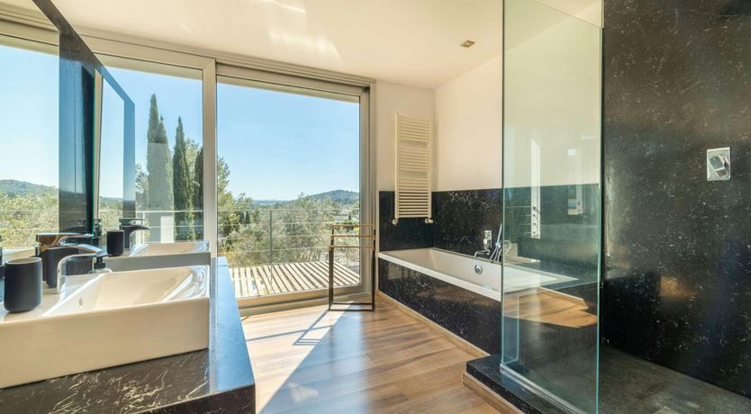 Photo of Golden Star Ash