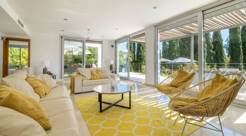 Photo of Golden Star Ash