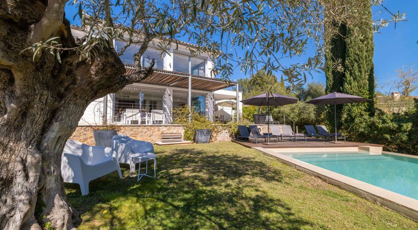 Photo of Golden Star Ash