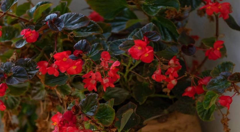 Photo of Circles of Light