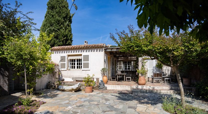 Photo of Shades of Beauty