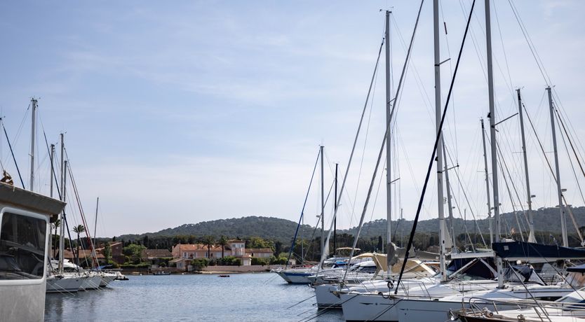 Photo of Shades of Beauty