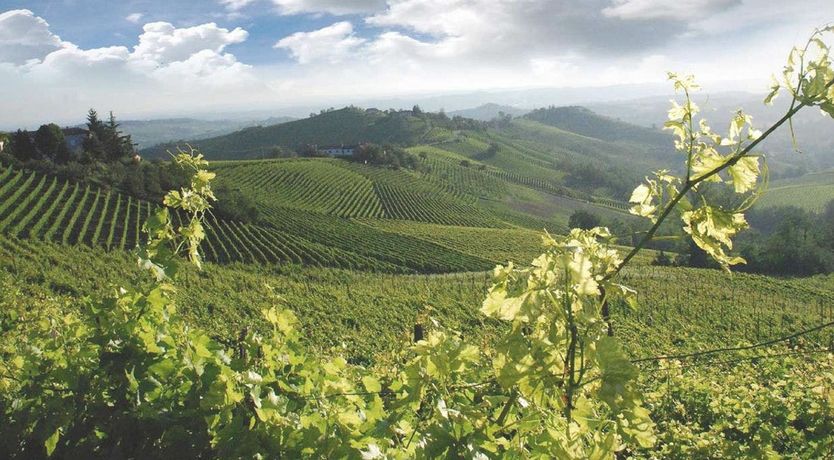 Photo of The Hillside Escape