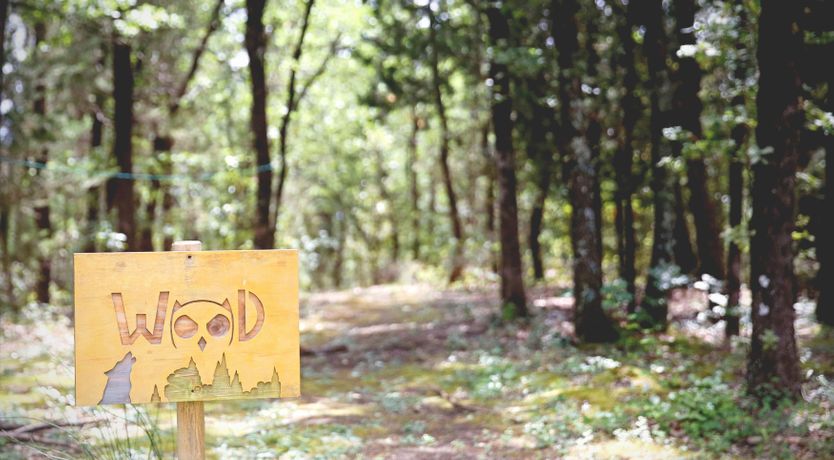 Photo of The Hillside Escape