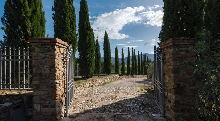 Photo of Vineyard's View