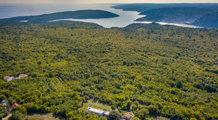 Photo of The Photographer's Daughter