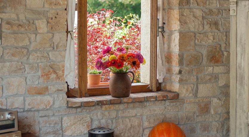 Photo of Marčana Marron