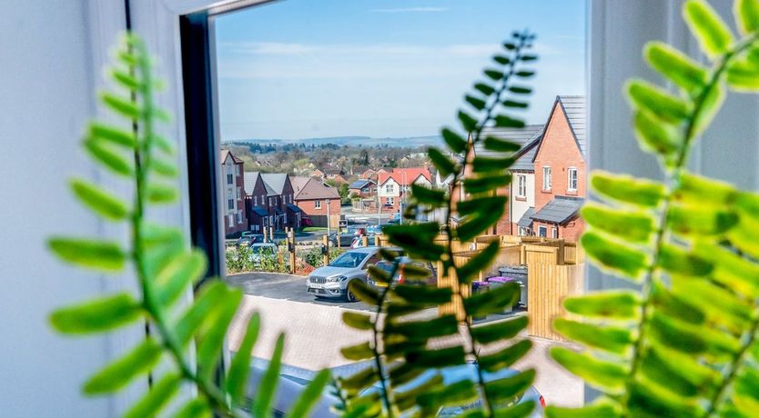 Photo of Mornings at the River