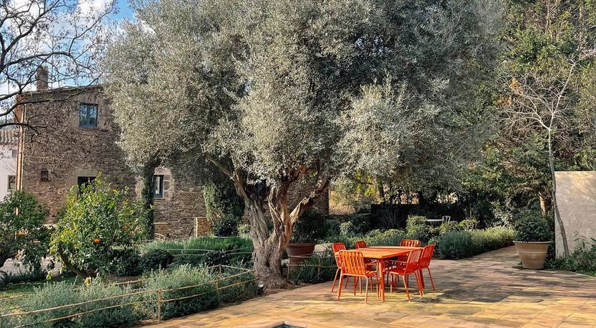 Photo of Holm Oak Harmony