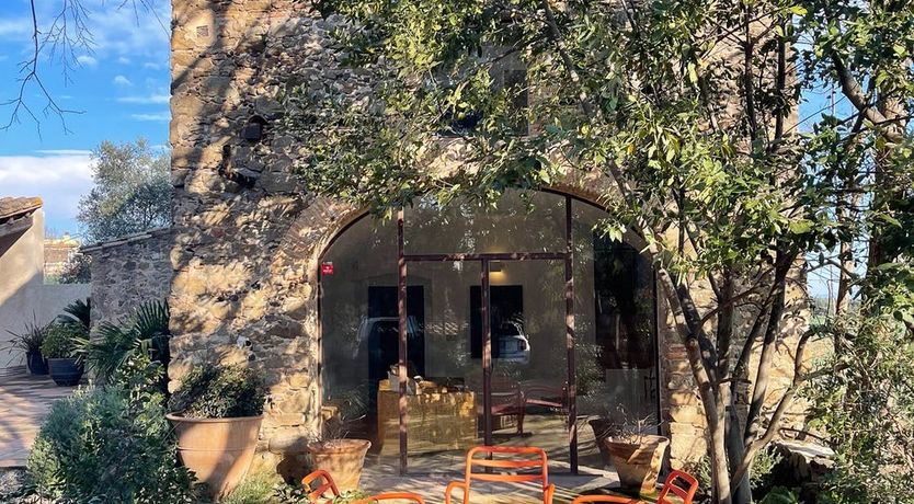 Photo of Holm Oak Harmony