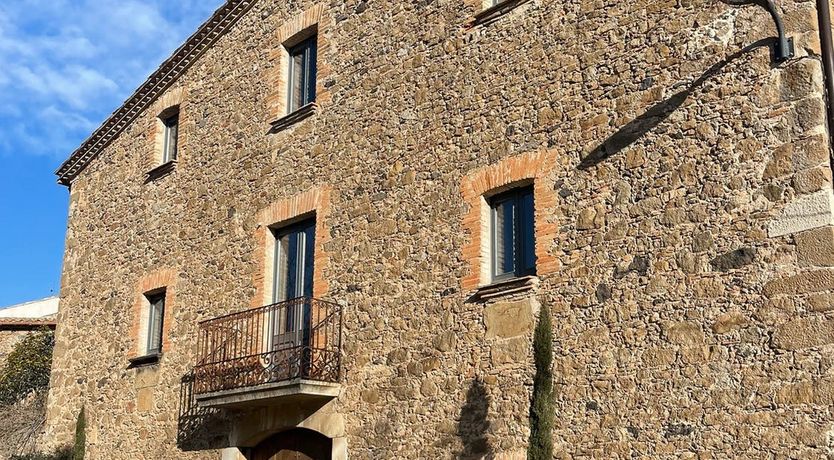 Photo of Holm Oak Harmony