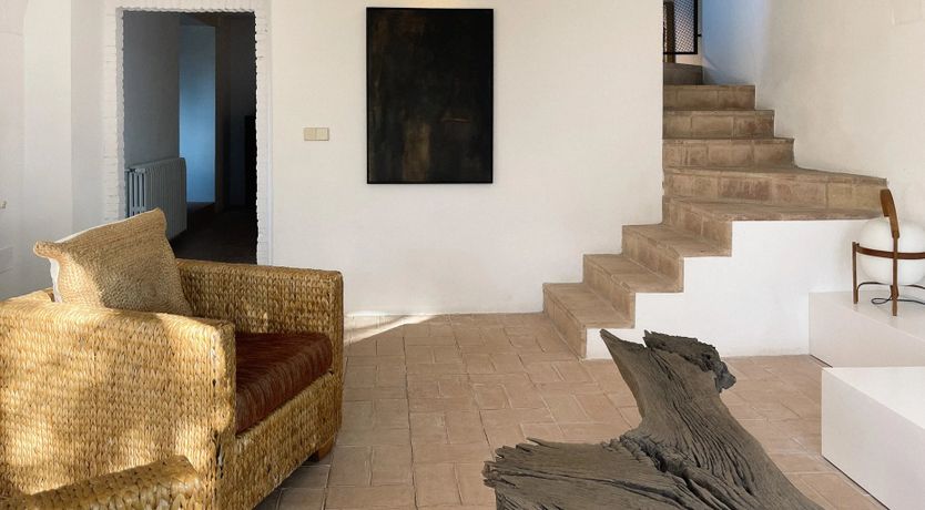 Photo of Holm Oak Harmony