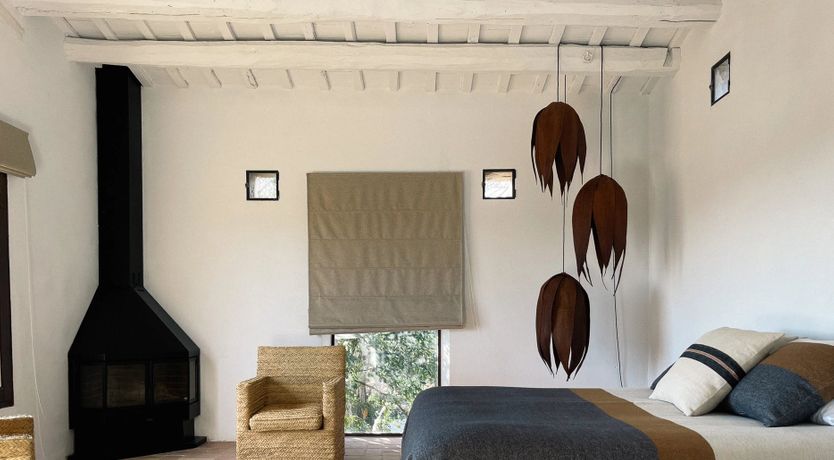 Photo of Holm Oak Harmony