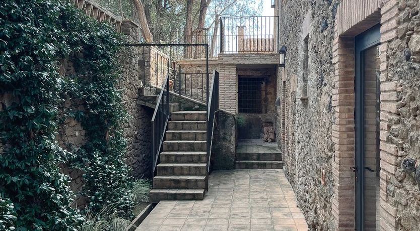 Photo of Holm Oak Harmony