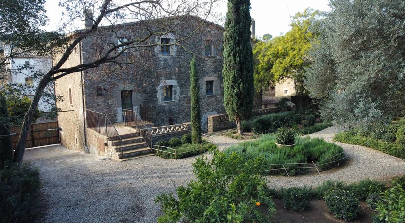 Photo of Holm Oak Harmony