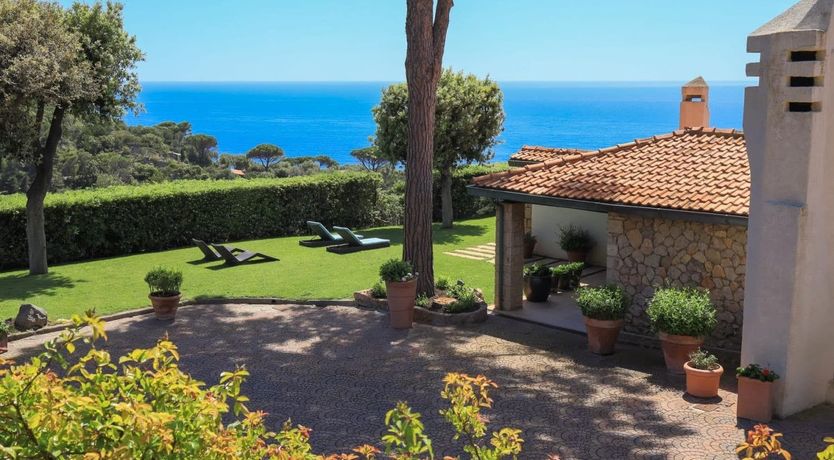 Photo of Tumbled Wood