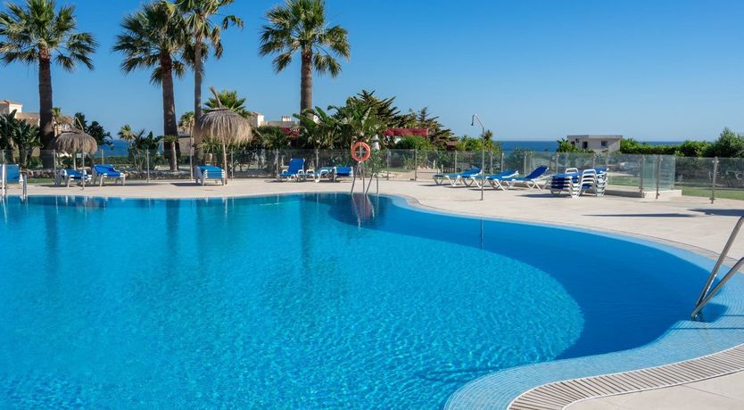 Photo of The Moon & The Palm