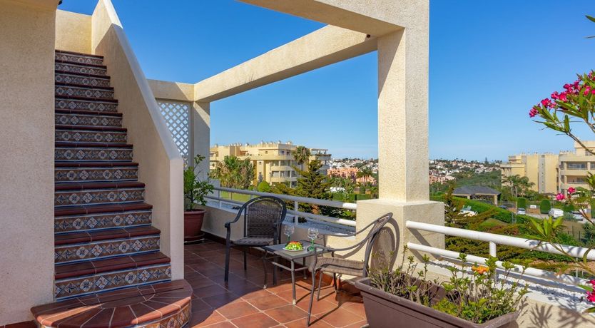 Photo of The Moon & The Palm