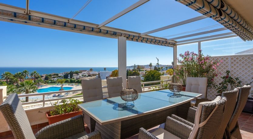 Photo of The Moon & The Palm