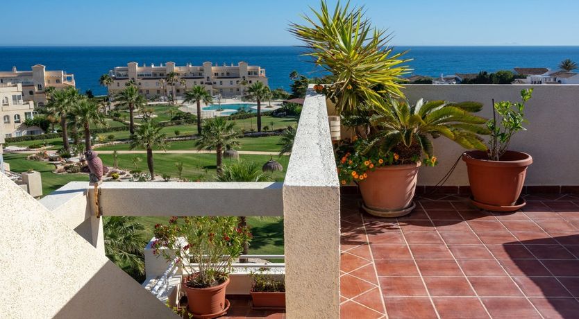 Photo of The Moon & The Palm