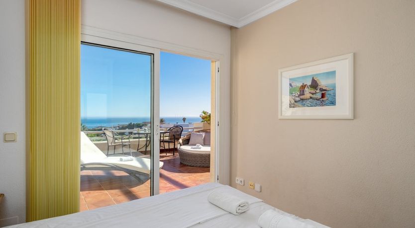 Photo of The Moon & The Palm