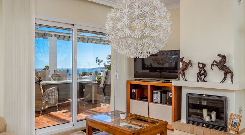 Photo of The Moon & The Palm