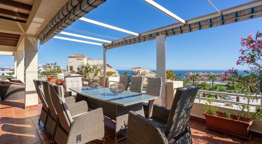 Photo of The Moon & The Palm