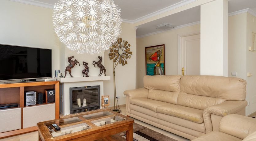 Photo of The Moon & The Palm