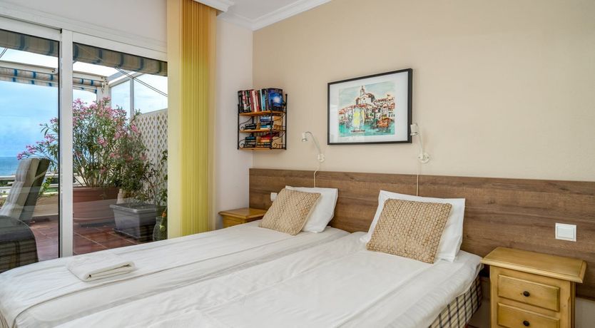 Photo of The Moon & The Palm