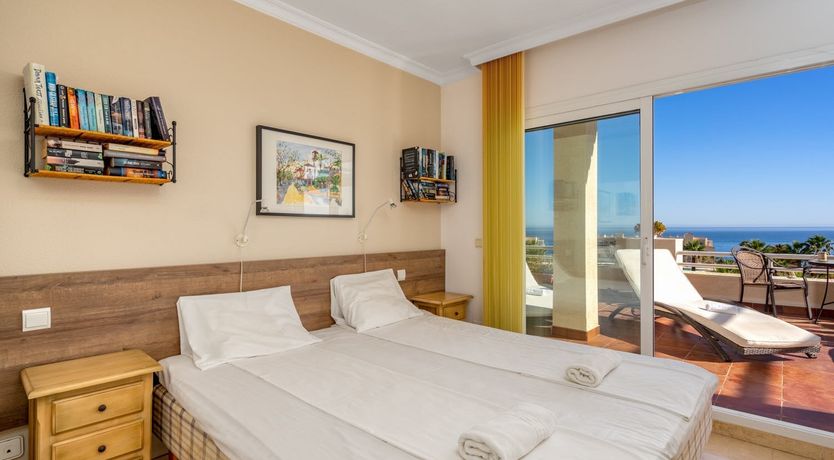 Photo of The Moon & The Palm