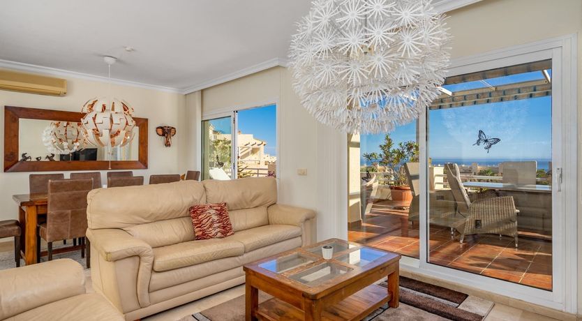 Photo of The Moon & The Palm