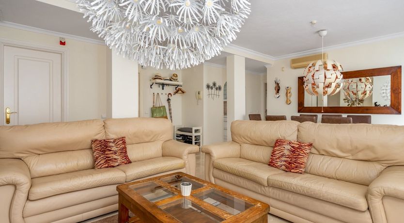 Photo of The Moon & The Palm