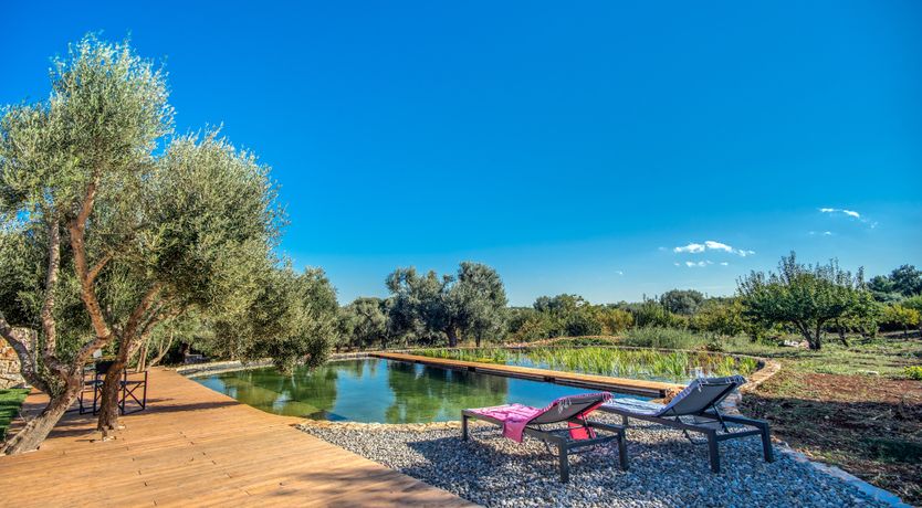 Photo of Days of Beauty