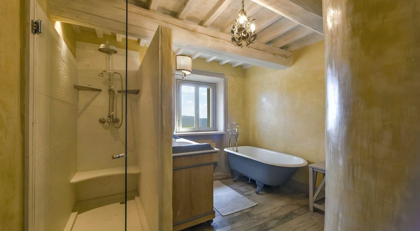 Photo of The Olive Tint