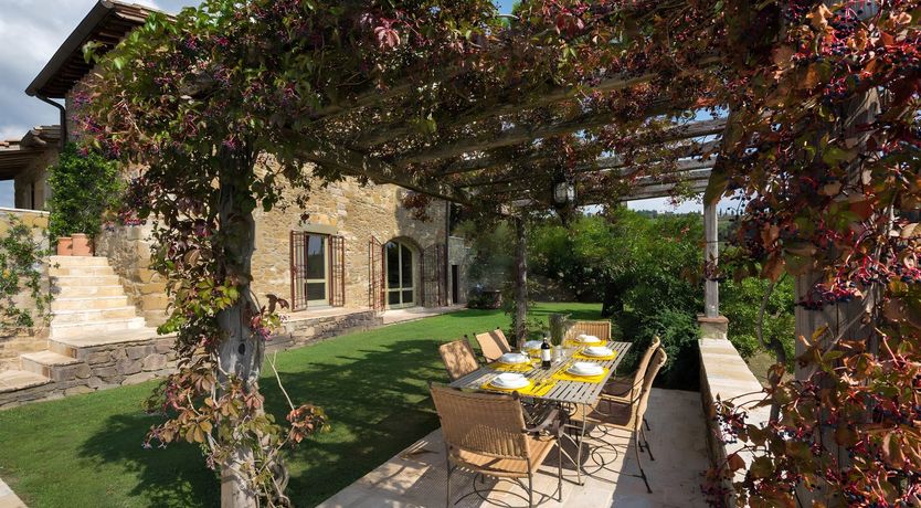 Photo of The Olive Tint