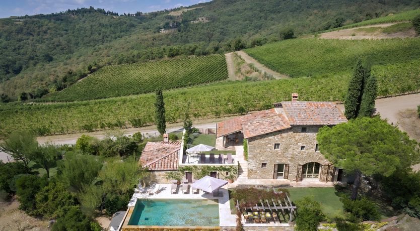 Photo of The Olive Tint