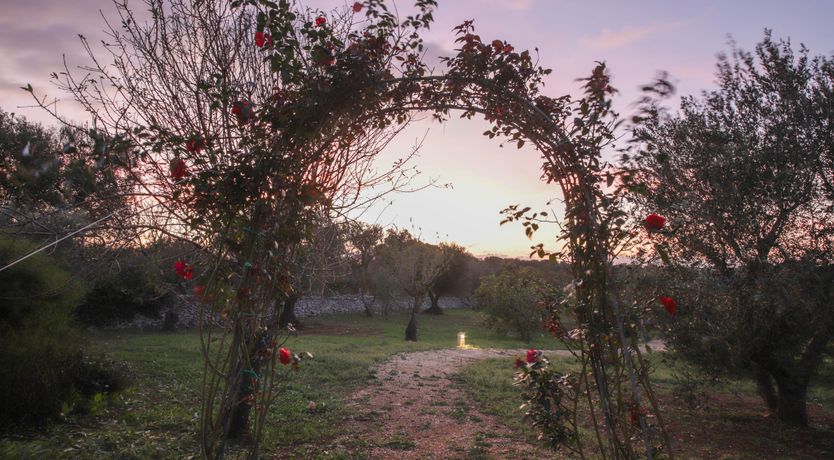 Photo of The Ode to Sunsets