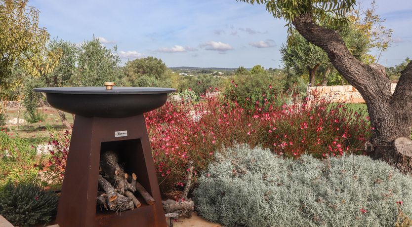 Photo of The Ode to Sunsets