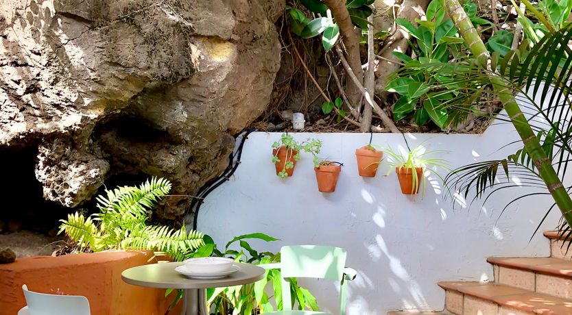 Photo of Tangerine Splash