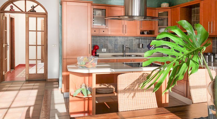 Photo of Tangerine Splash